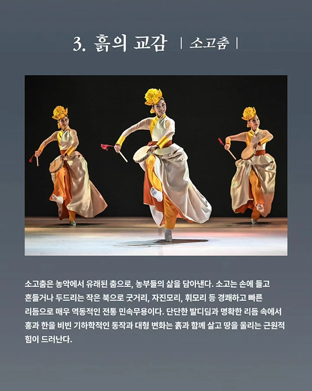 스톤아일랜드 와펜 패치 포켓 라운드 맨투맨 5