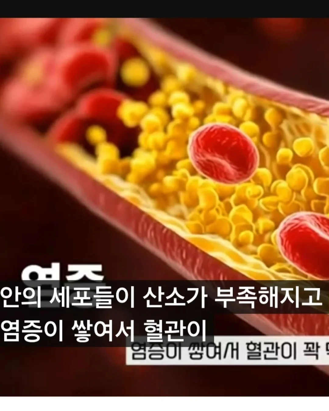 오드앵글 선풍기 8