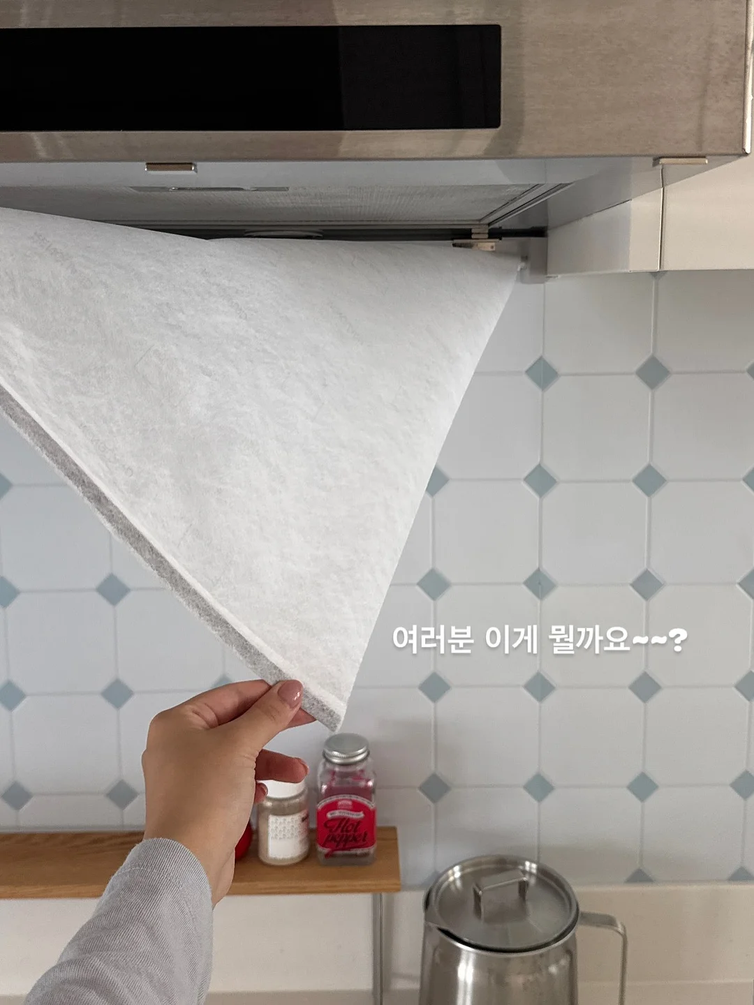 샤인코튼 2