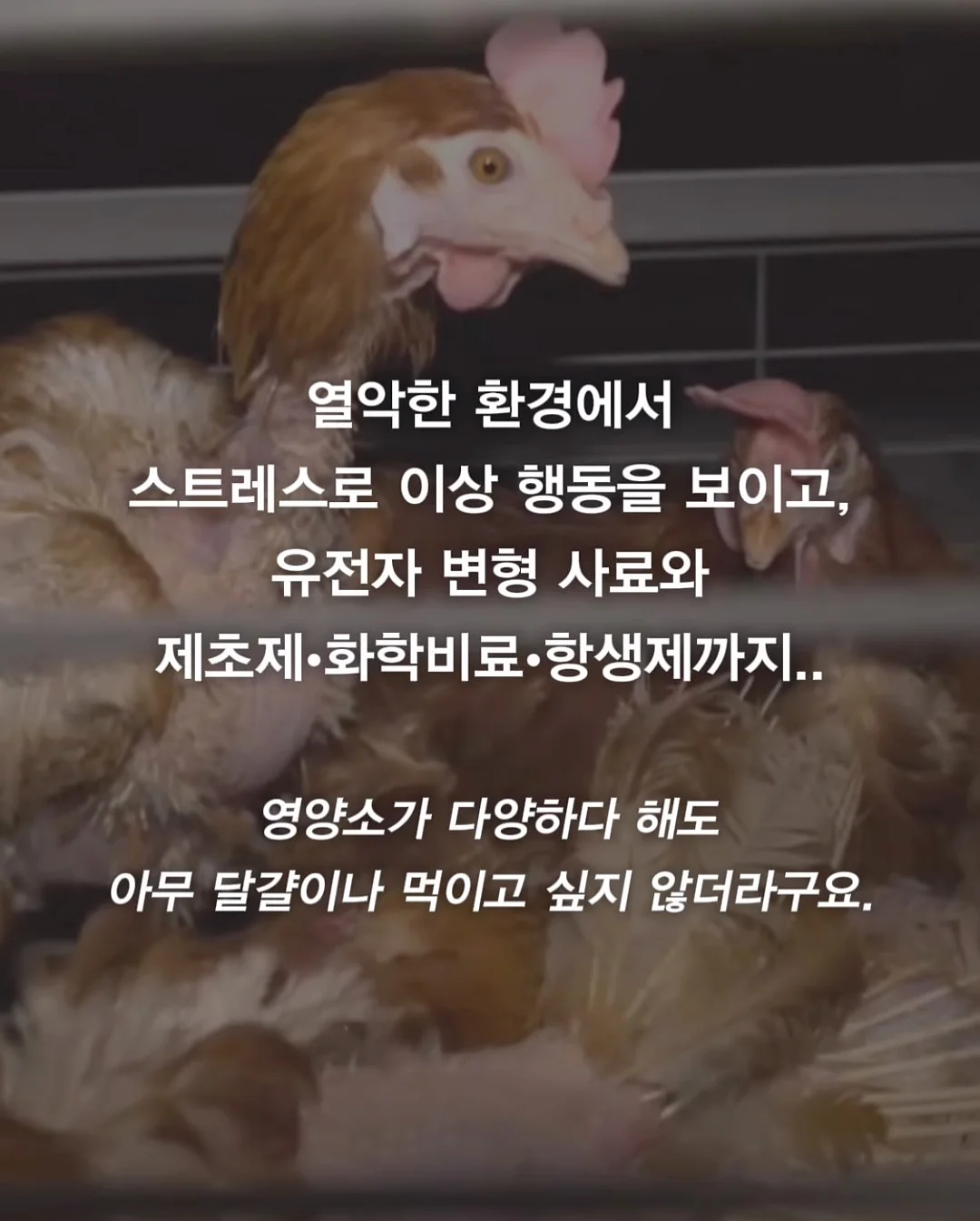 칭다오 친절 숙소 8