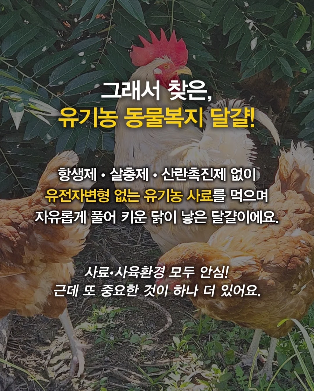 칭다오 친절 숙소 9