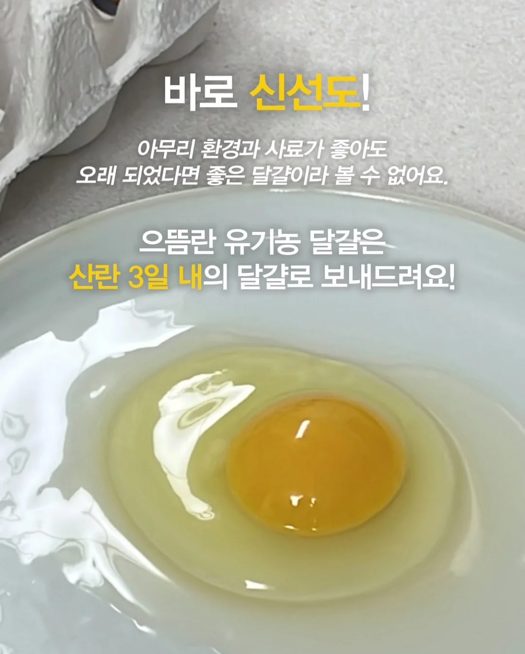 칭다오 친절 숙소 10