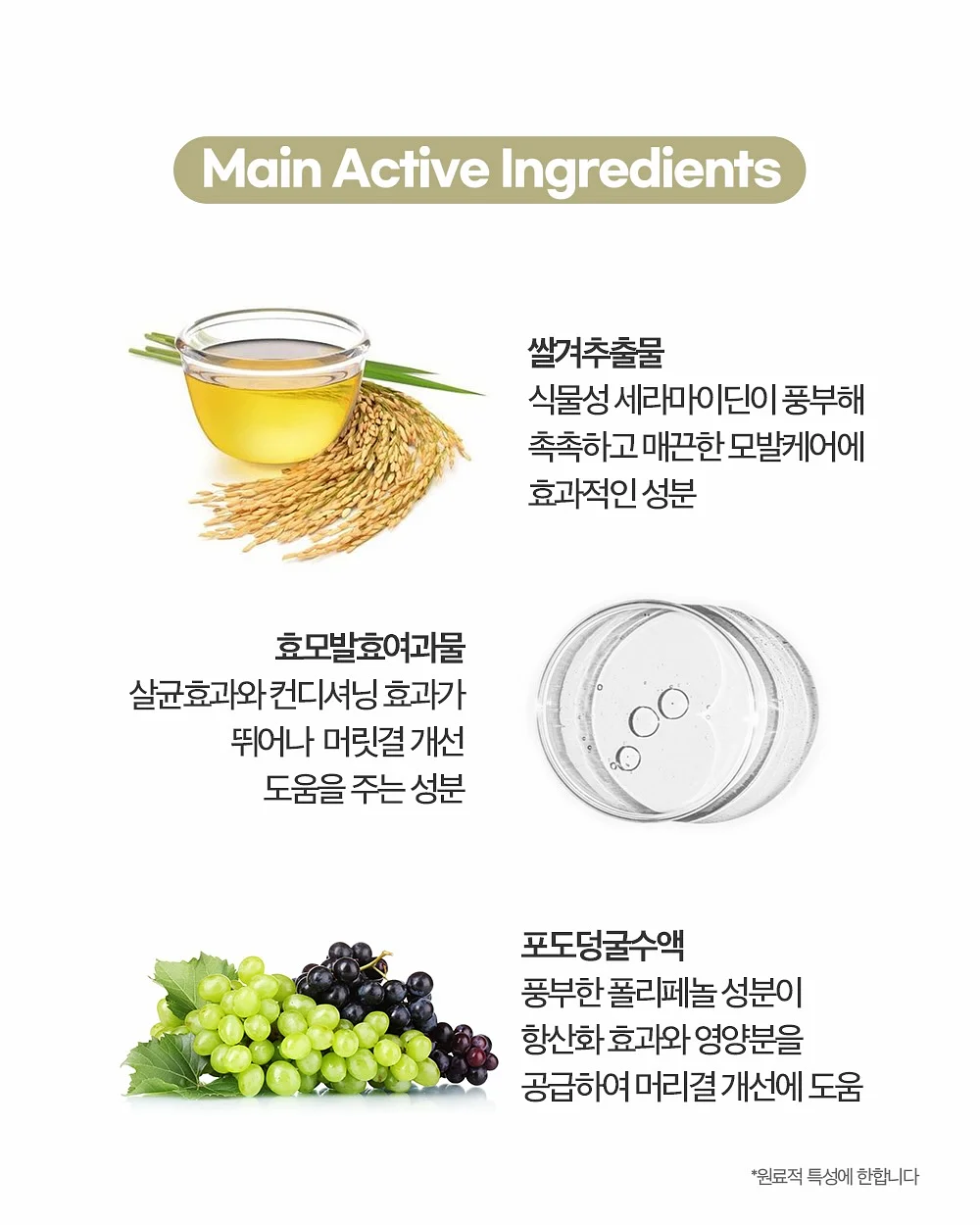 월넛 테이블 13