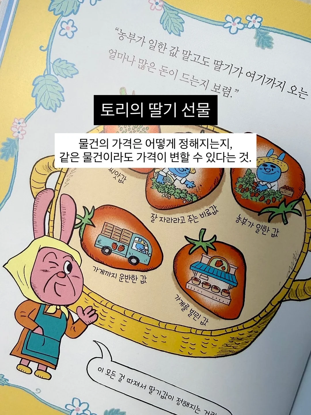 세멘시트 패밀리팩 13