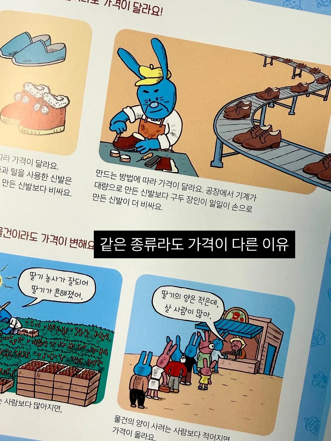 세멘시트 패밀리팩 14