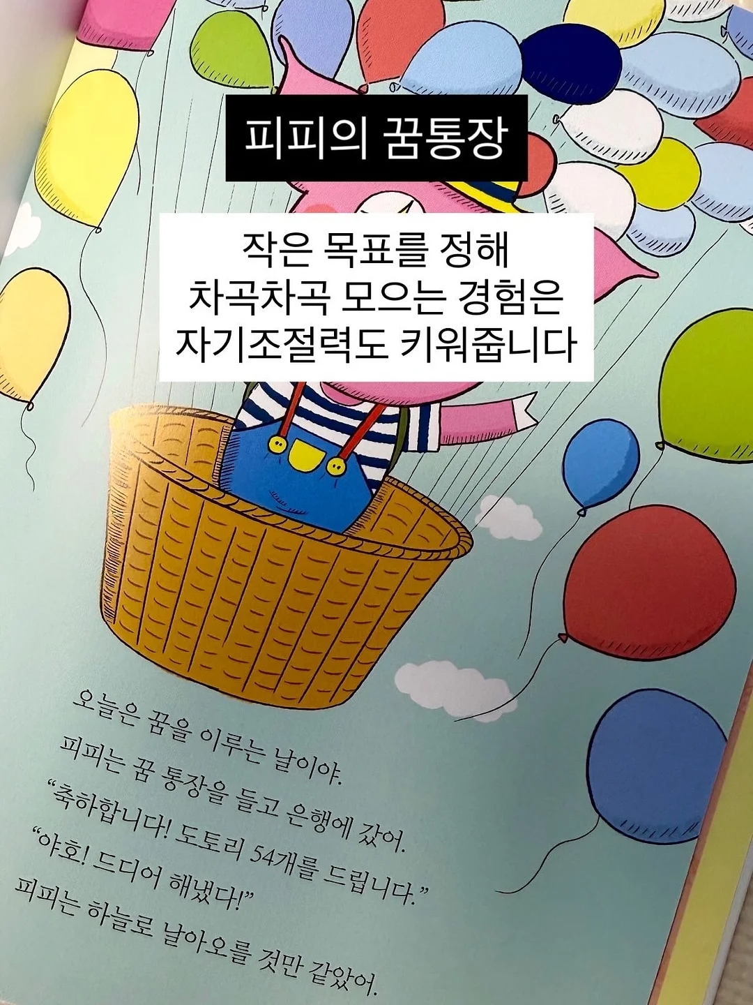 세멘시트 패밀리팩 15