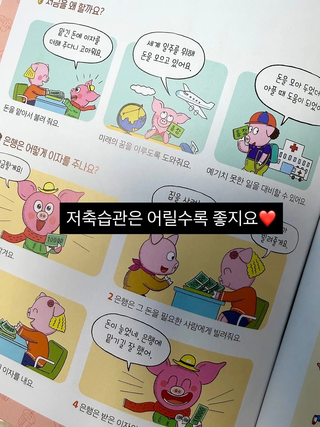 세멘시트 패밀리팩 16