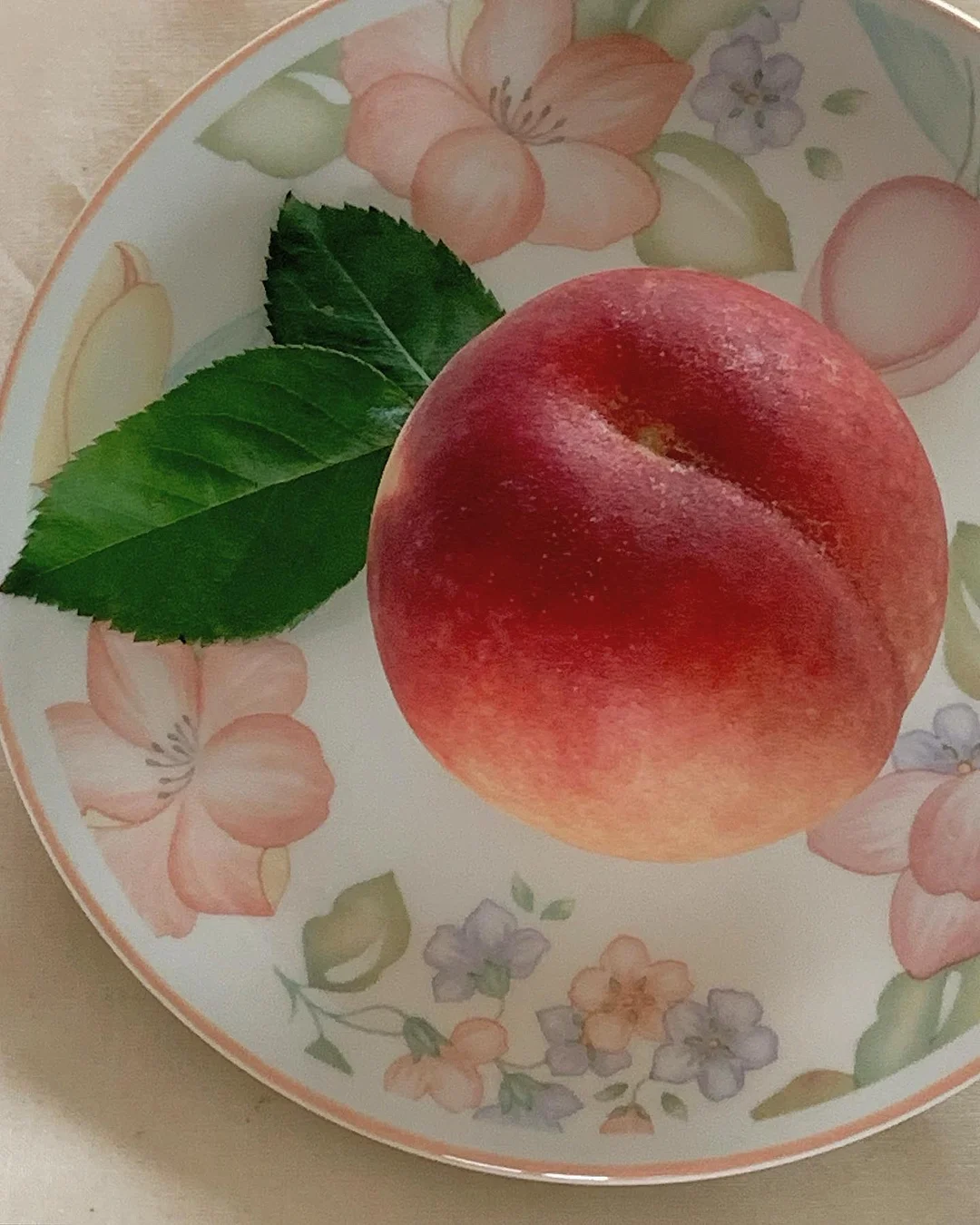 세탁조 클리너