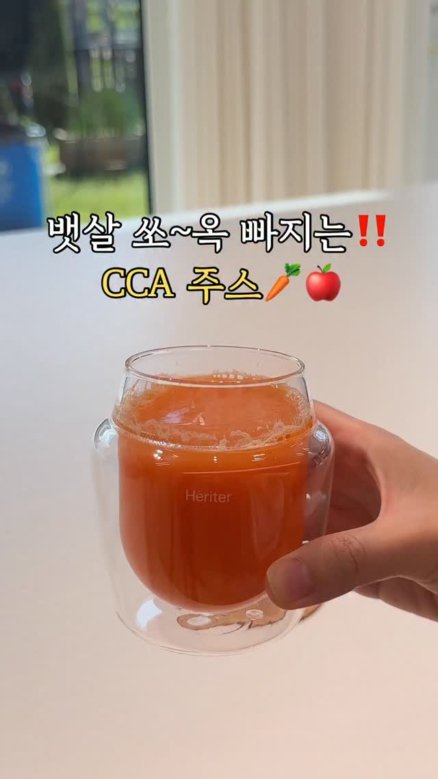 오닉스 북스 팔마 2in1 케이스