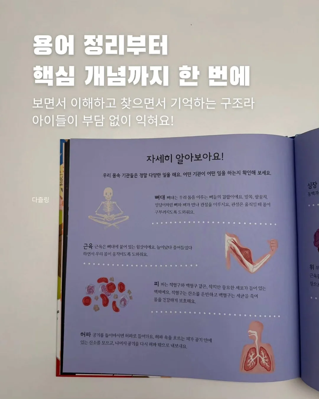 요미몬 멀티보드 6