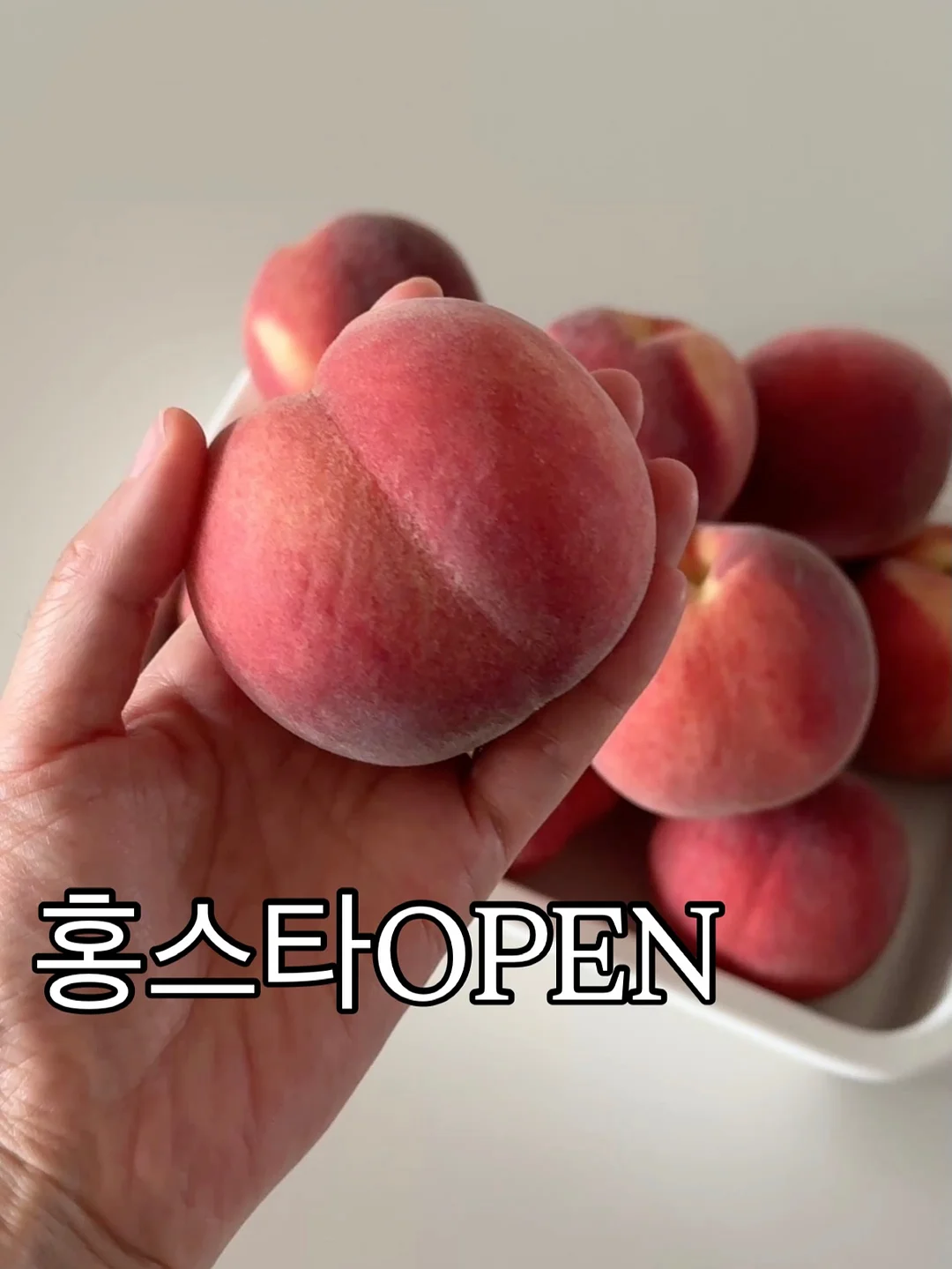 행사다과 세트 1