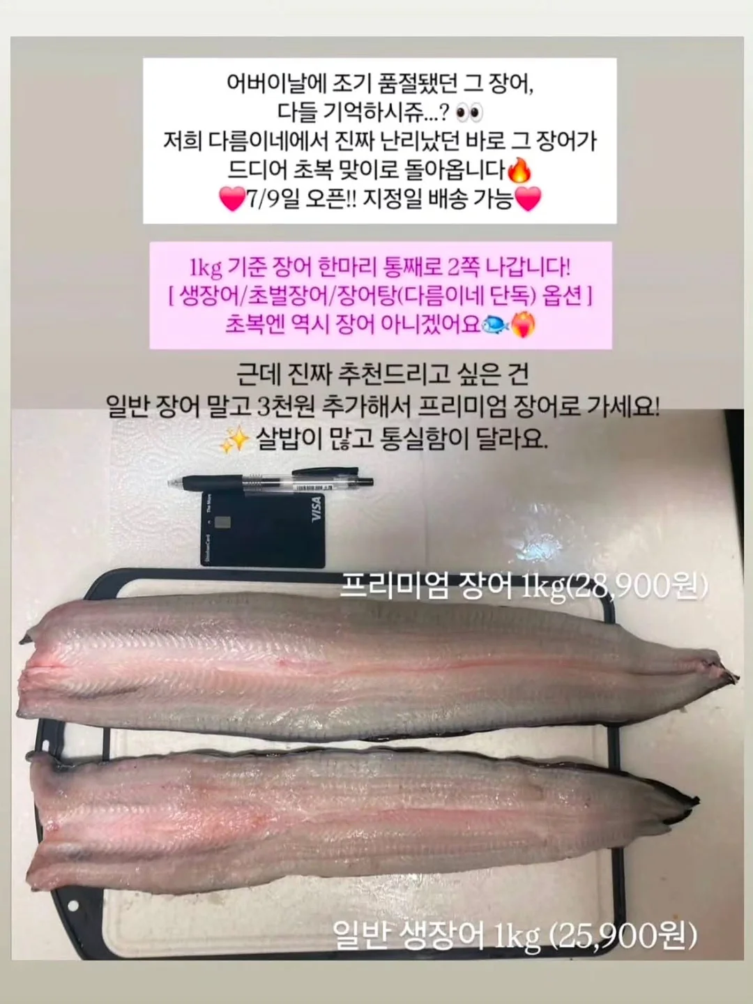 케이스 16