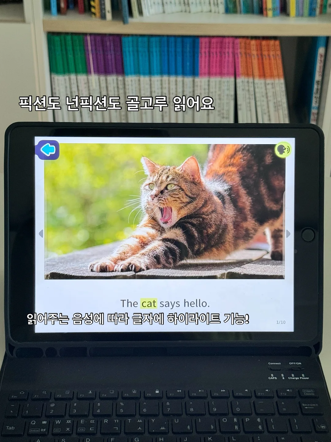 오슬로 장화 4