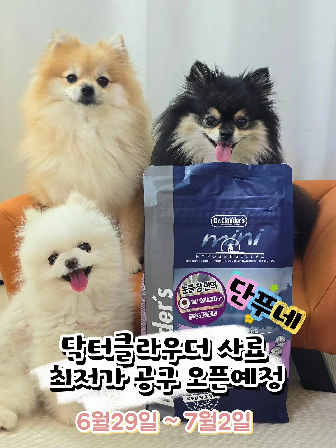 썸머 레인보우 공룡멜빵상하