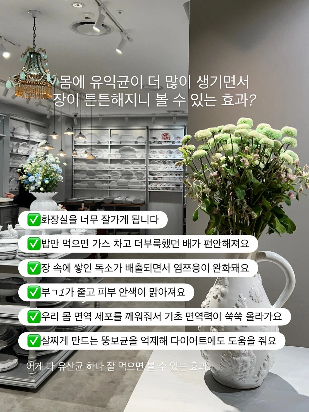 원피스 11
