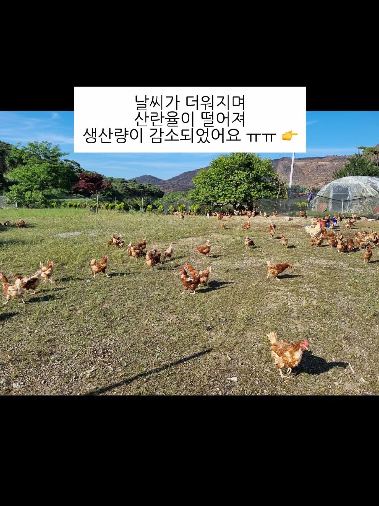 참기름 3