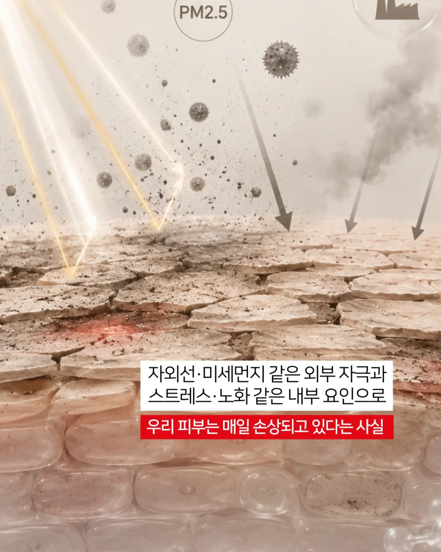 하이큐 카라스노 고교 vs 아오바죠사이 고교 타이토쿠지 5