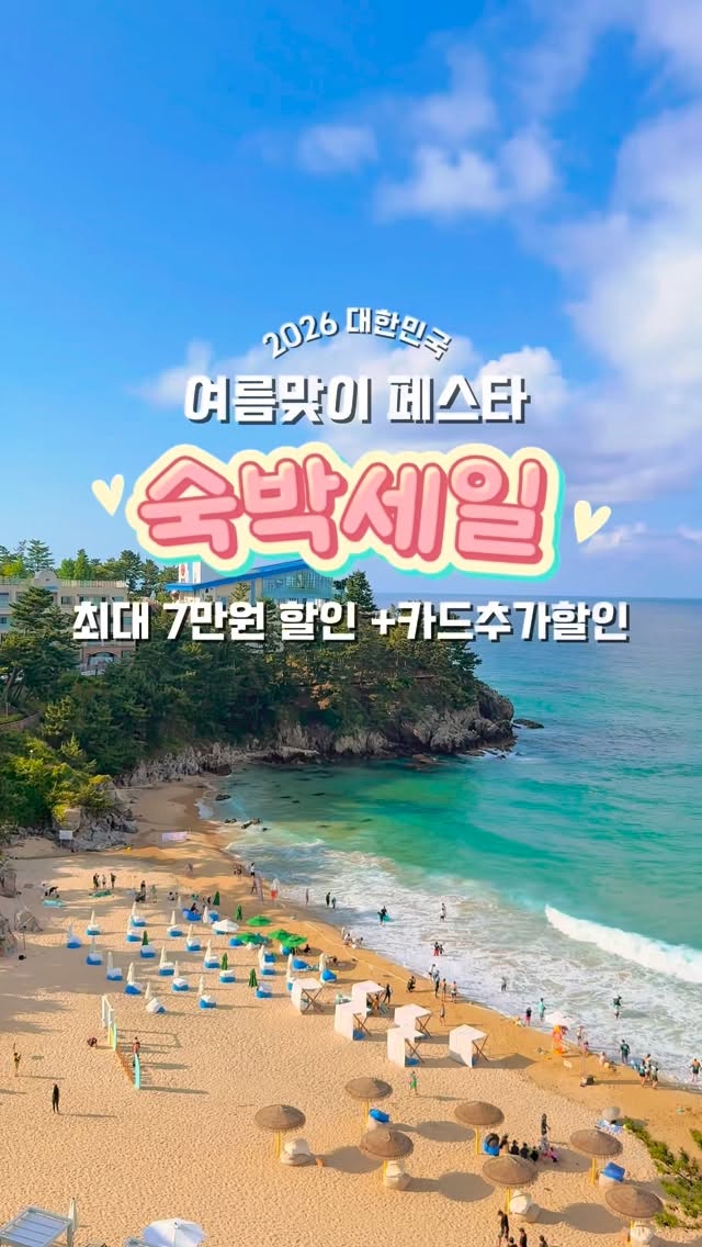 조개 해감법