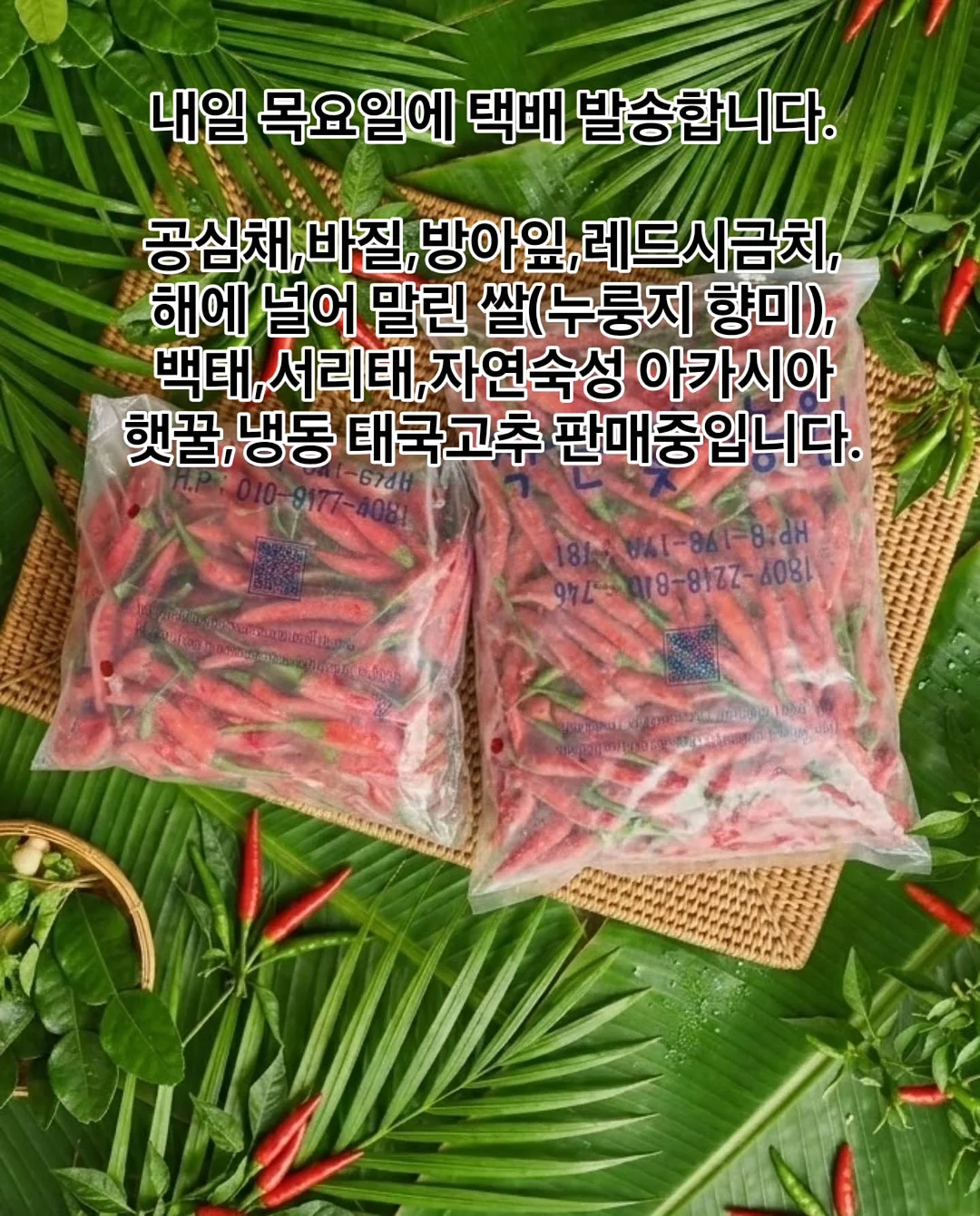 애니메이션 OST 오케스트라 라이브 1