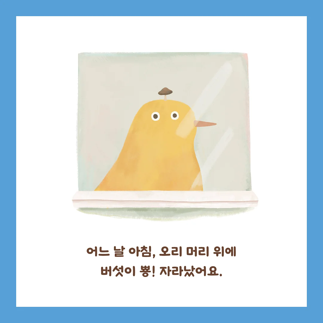 프룻케이크M 2