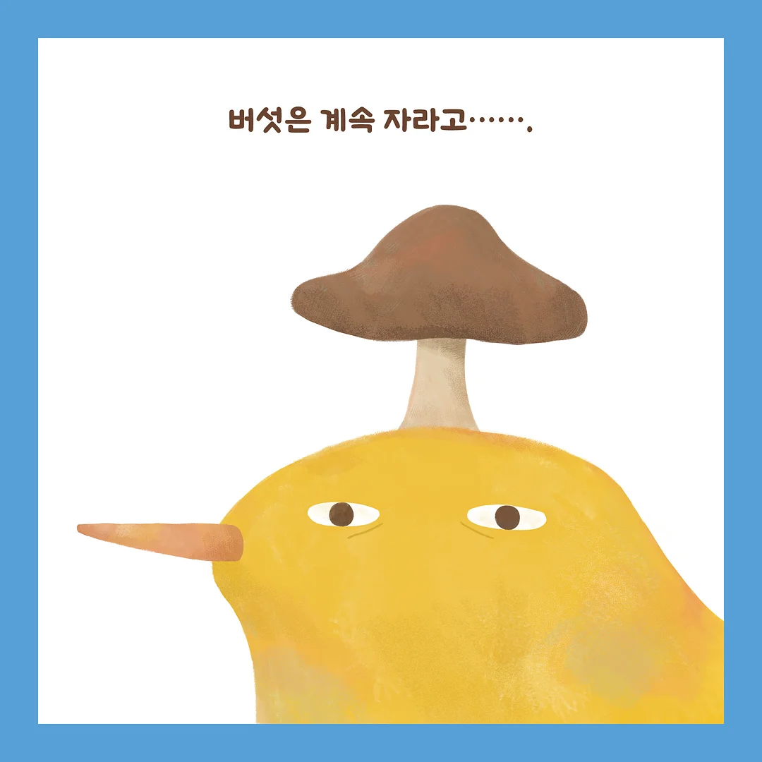 프룻케이크M 4