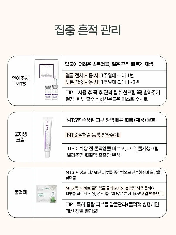 씨드 멤버 11