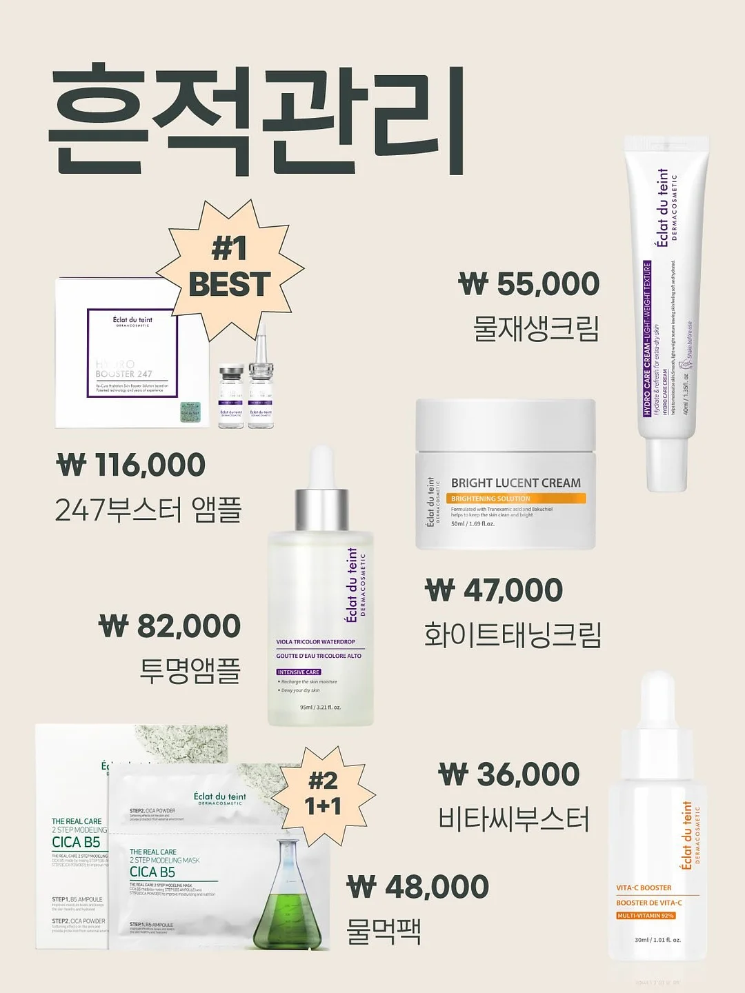씨드 멤버 13