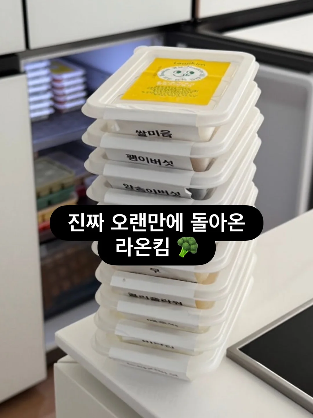 모스킨톡 롤온 아로마스틱 5