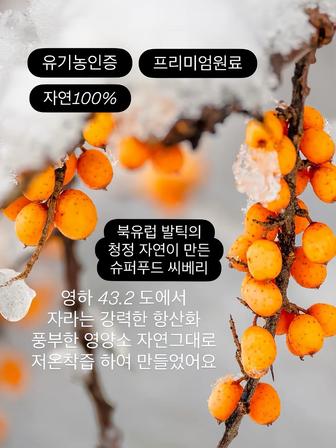 어버이날 케이크 4
