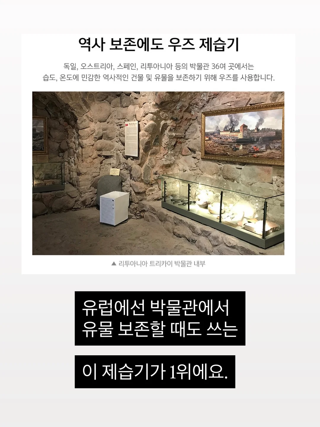 Shell Silhouette 라이트 쉘 롱 목걸이 3
