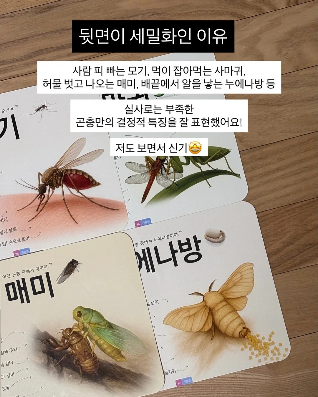 보조배터리파우치 11