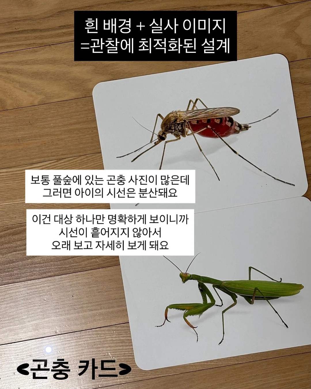 보조배터리파우치 9