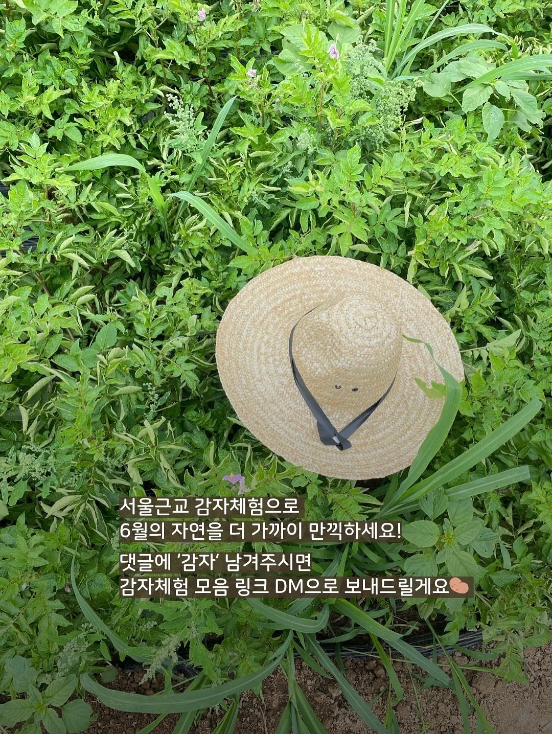 뜨캉스 13
