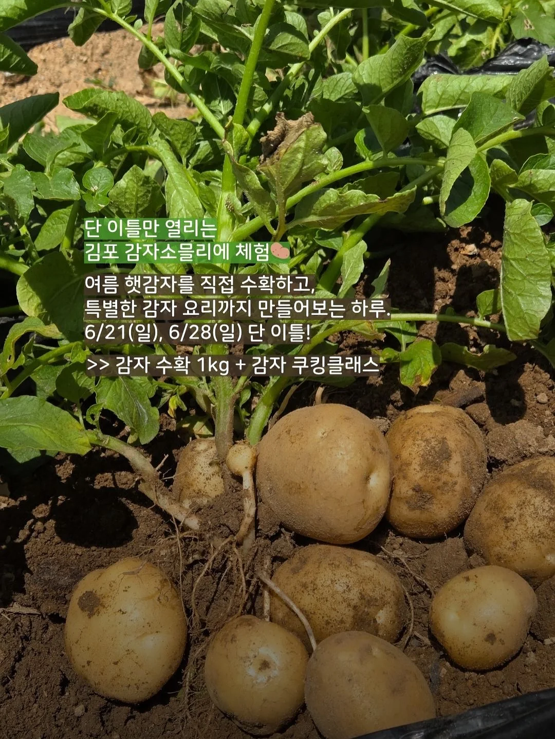 뜨캉스 6