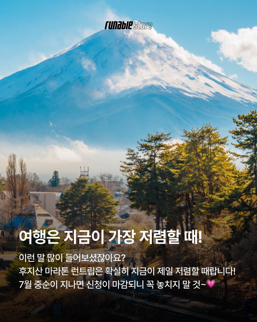 뮤이 실버백 5