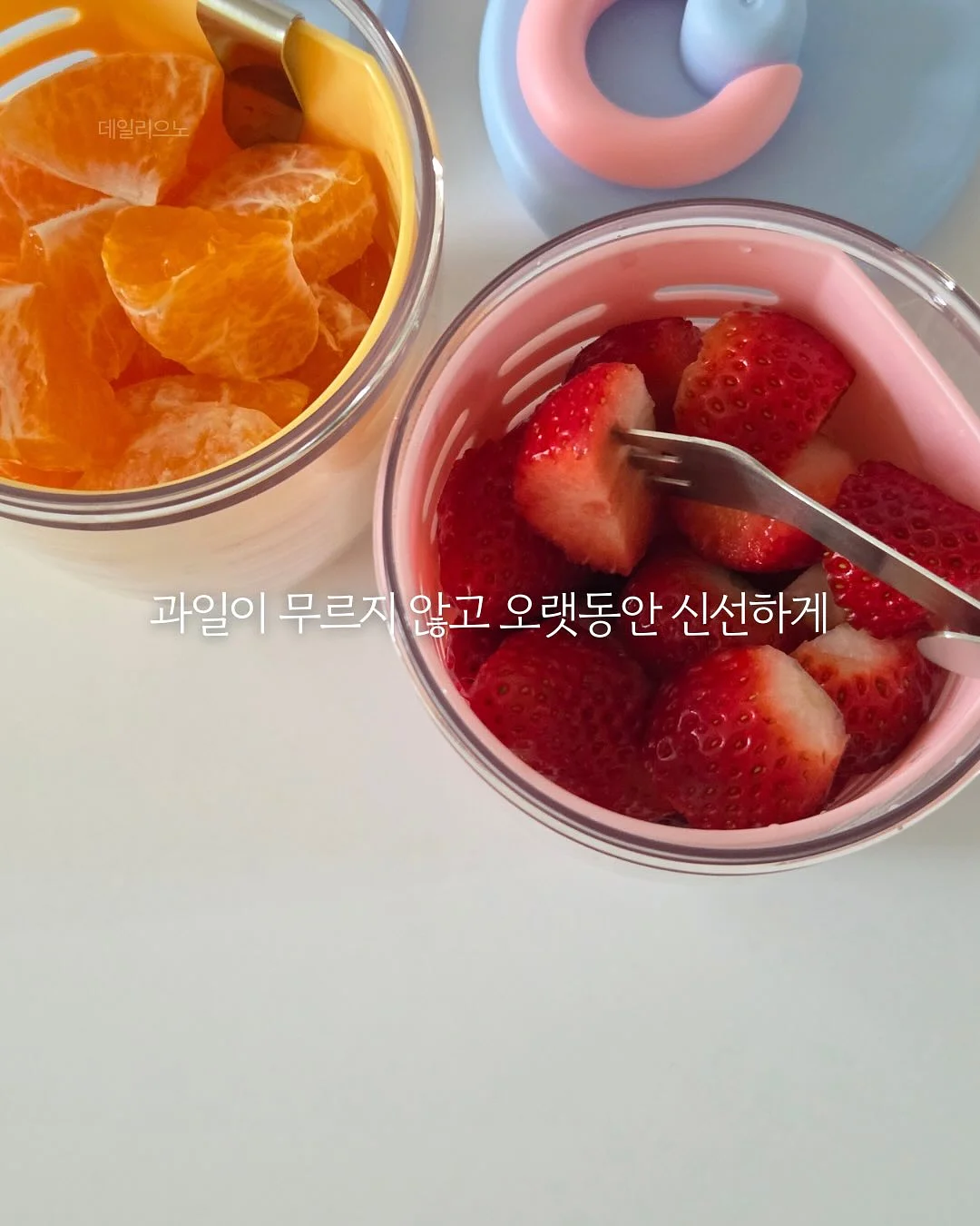 솔리드 크롭 티셔츠 / 피그먼트 크롭 티셔츠 6