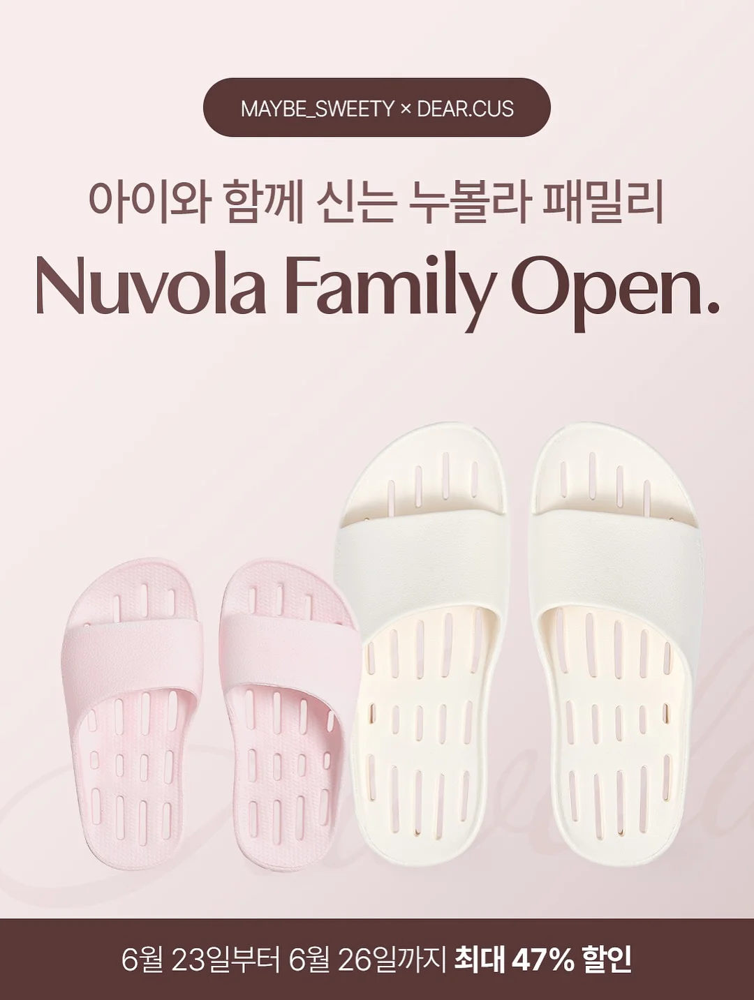 호접란 14