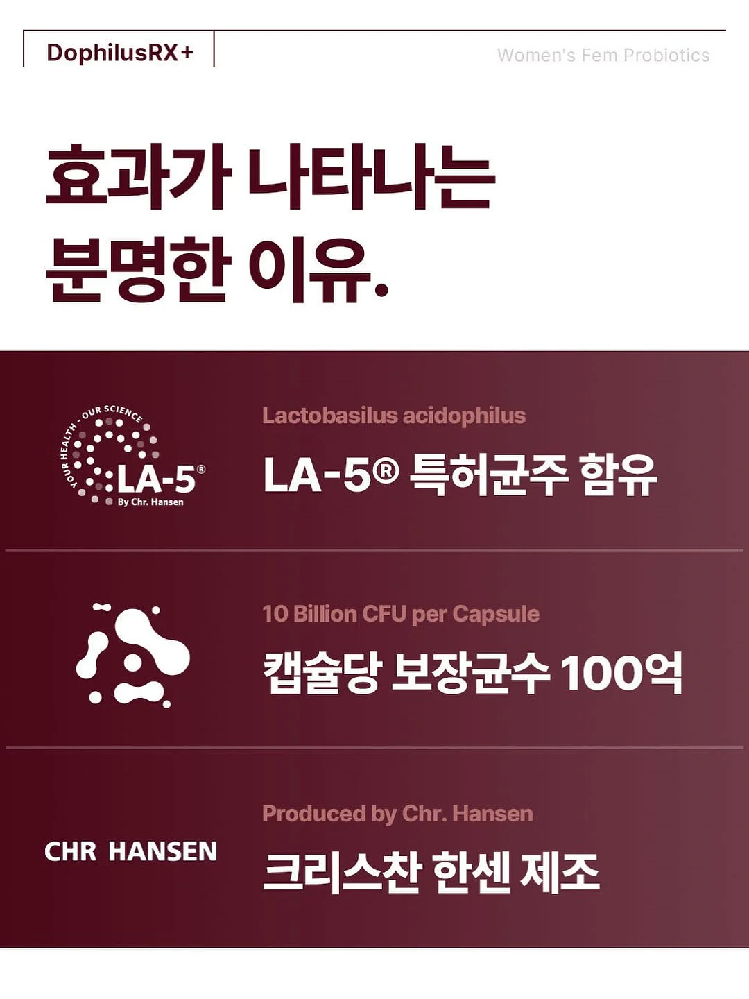 보아르 포스D14 무선 핸디스틱청소기 5