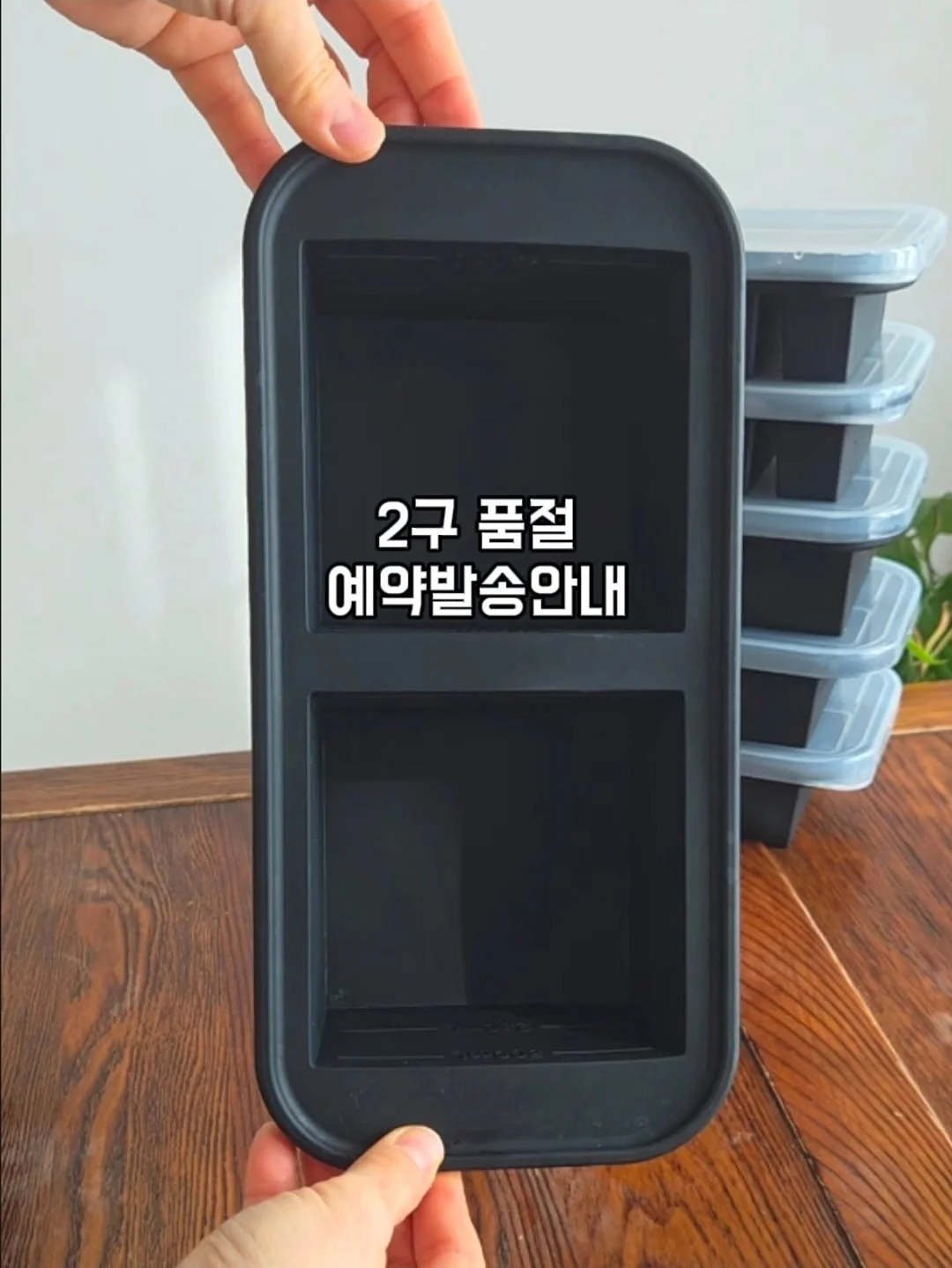 코이 레이스 슬리브리스