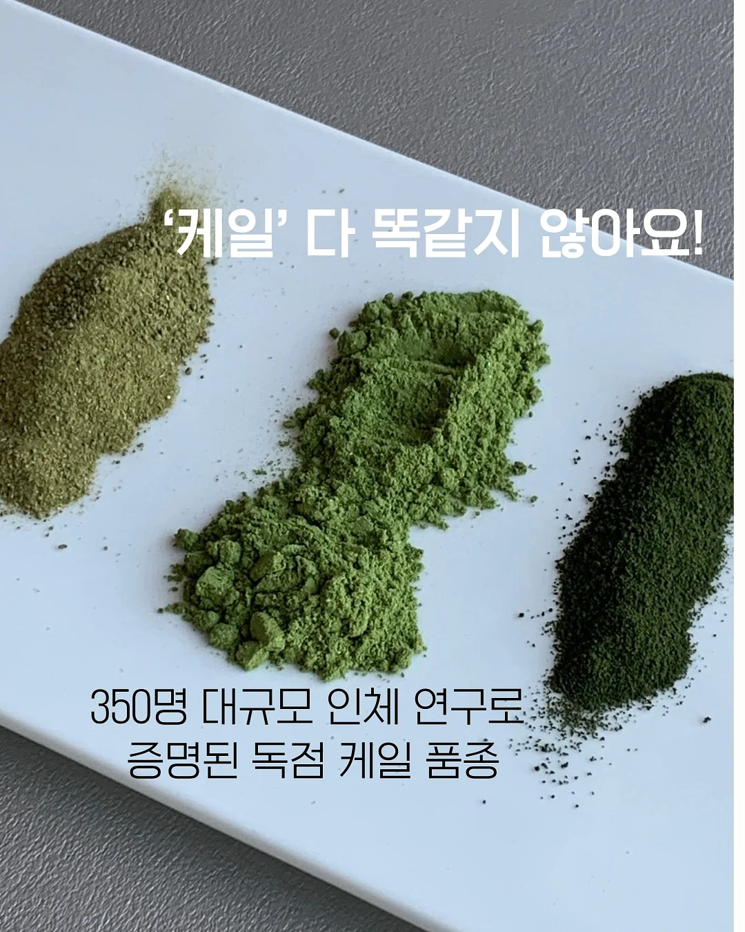 뉴카리pt 2
