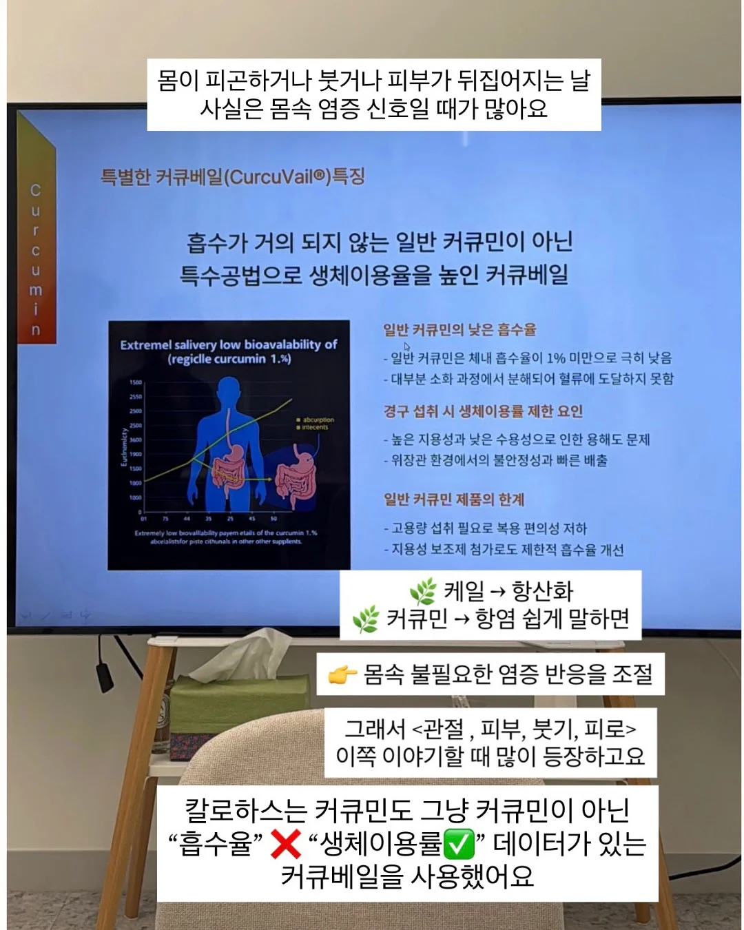 뉴카리pt 4