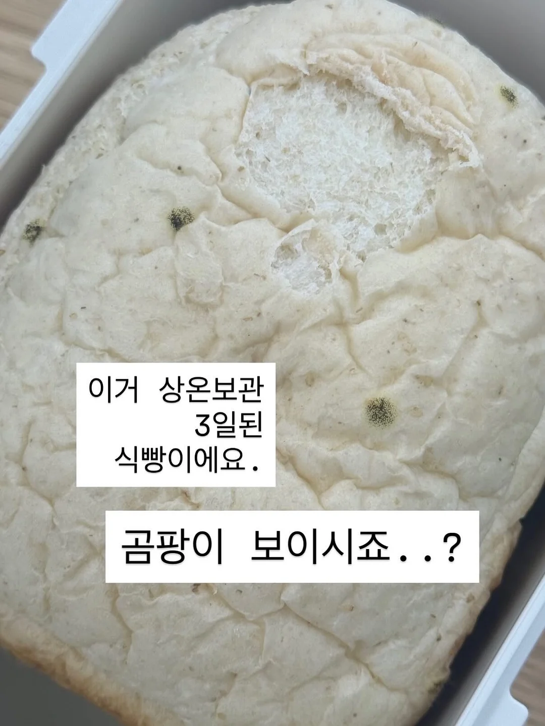양쯔깐루 몽찌샌드 1