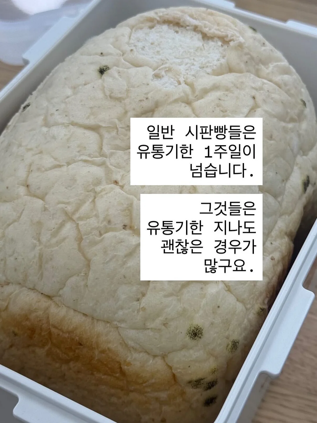 양쯔깐루 몽찌샌드 2