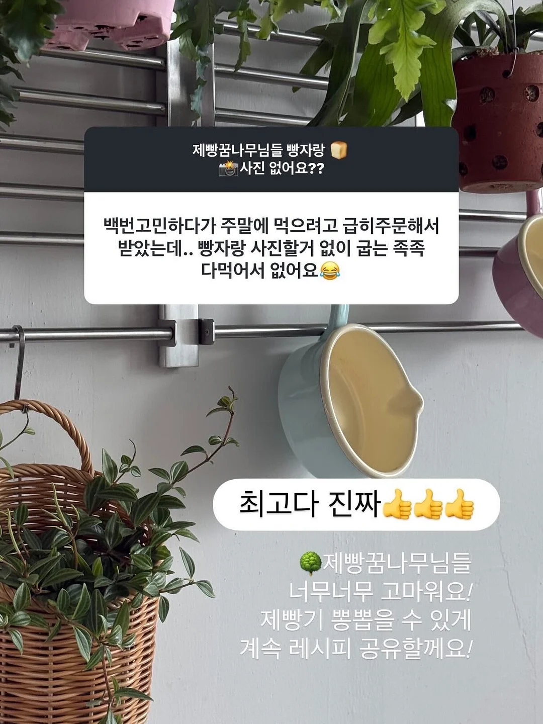 양쯔깐루 몽찌샌드 6