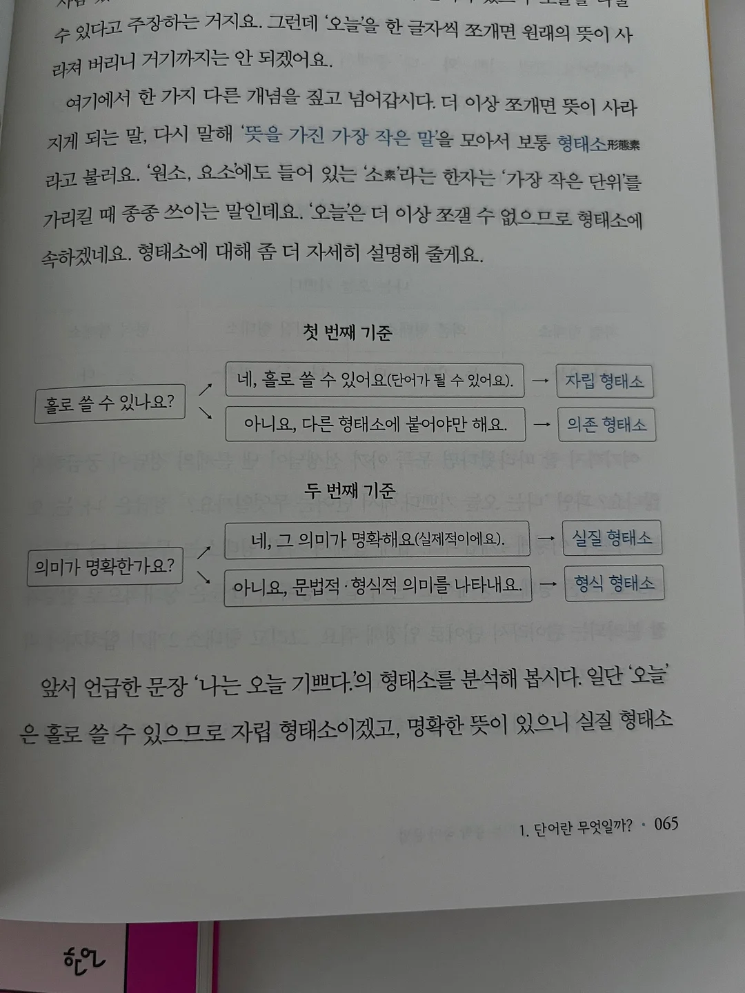 선글라스 7
