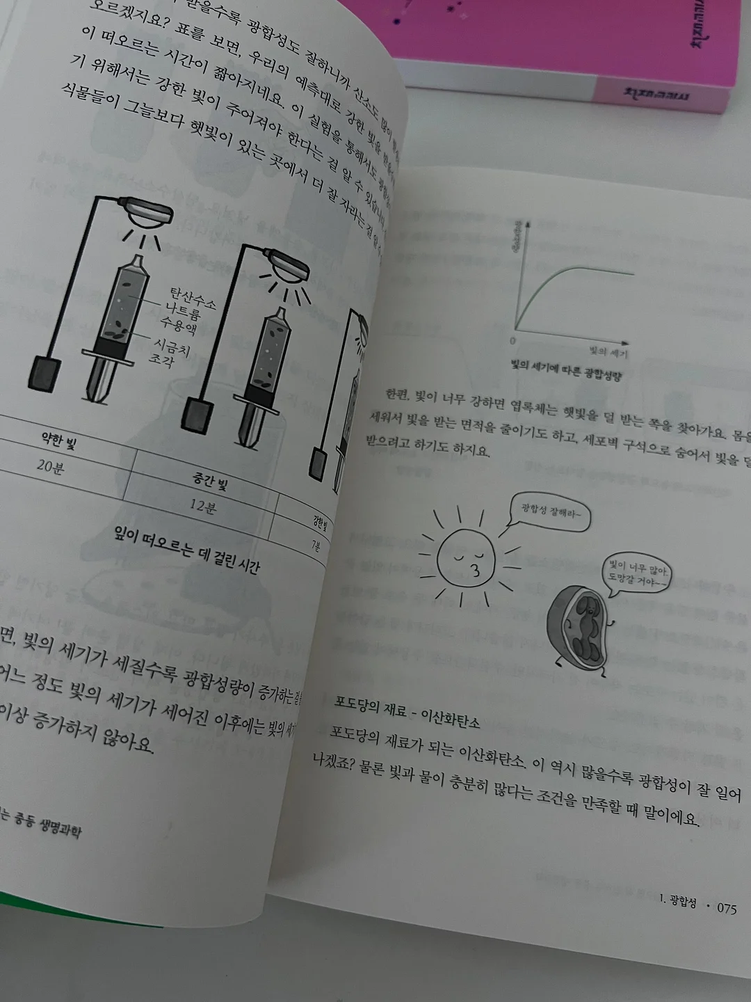 선글라스 10