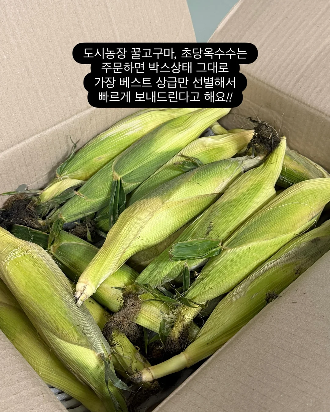 초음파 세척기 5