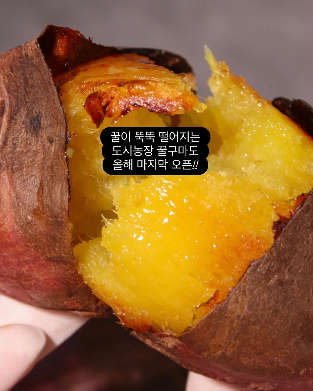 초음파 세척기 9