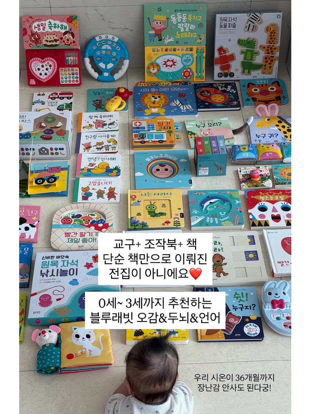 키즈 LP 토토 5
