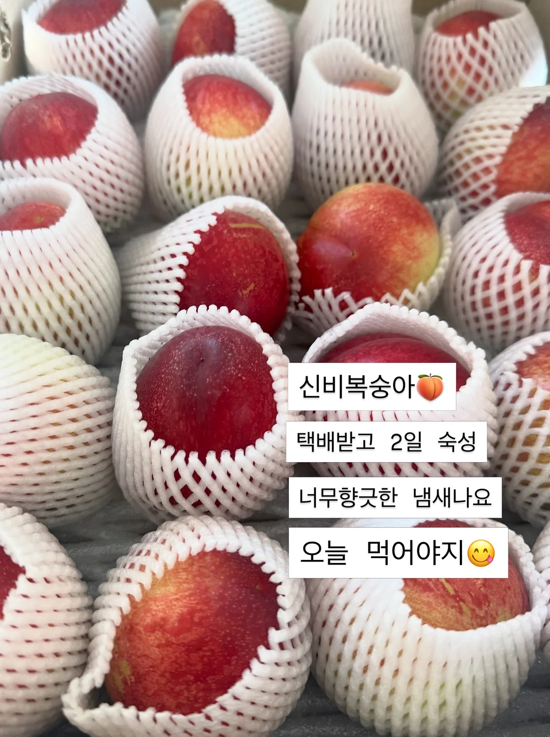 갓성비 티 3색세트 2